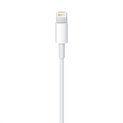 Кабель Lightning/USB (ME291ZM/A) - фото 12725