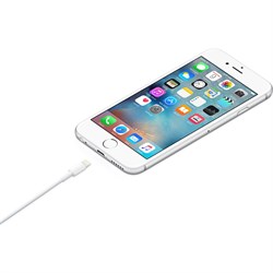 Кабель Lightning/USB (ME291ZM/A) - фото 12727