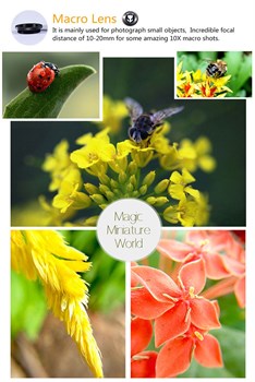 Объектив-линза Lieqi набор 3 в 1:Fisheye, Макро ( macro ) объектив,широкоугольная линза для iPhone 6 plus Цвет: Чёрный (LQ-019) - фото 20345