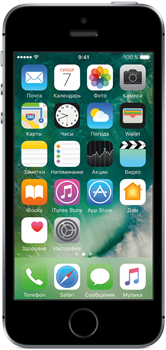 Смартфон Apple Iphone SE 16GB Space Gray  (серый) - фото 23439