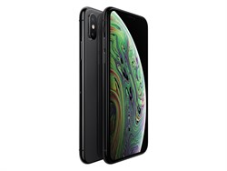 Apple iPhone XS Max 256 GB Серый космос (Space Gray) - фото 24339