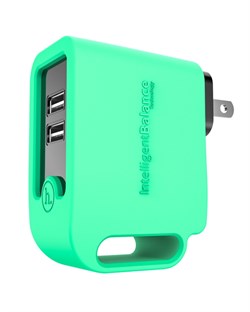 Зарядная станция Hoco UH203 Smart Charger 2 USB выхода  - фото 8024