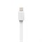 Кабель Rock Lightning-USB Safe Charge Speed Data Cable 32см лапша - фото 14536