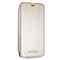 Чехол-Книжка Guess iPhone XS Max Iridescent Booktype, "Gold" (GUFLBKI65IGLTGO) - фото 25309